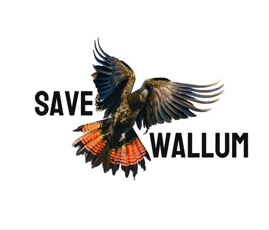 image of Email NSW Premier & Planning Minister to Save Wallum & STOP Zombie DAs