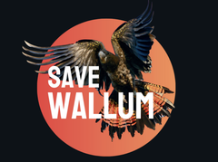 Save Wallum Brunswick Heads